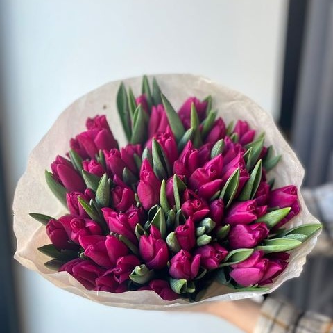 Тюльпан лиловый купить c доставкой по Омску