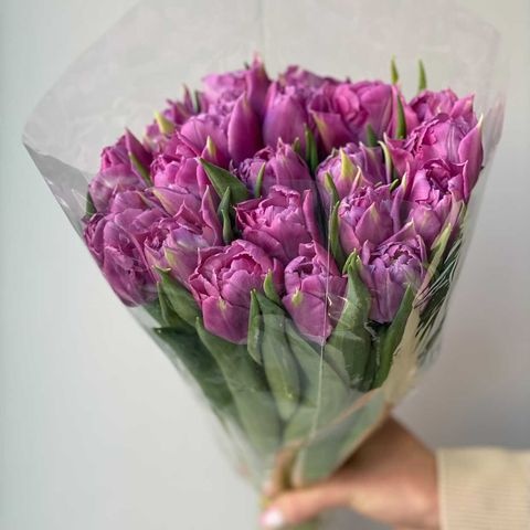 Тюльпан пионовидный лиловый купить c доставкой по Омску