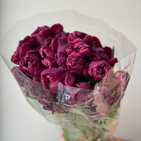 Тюльпан пионовидный фиолетовый купить c доставкой по Омску