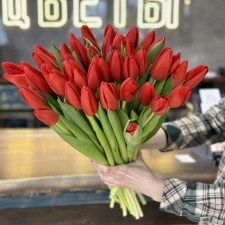 Букет из 15 красных тюльпанов