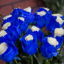 Роза Blue white